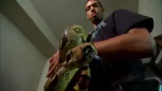 Two Cold Blooded Performers: Danny Green and His Pet Snake