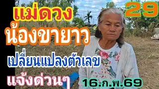 แม่ดวง 29 ฝันแล้วน้องขายาวมาบอก เปลี่ยนแปลงตัวเลขตัวนี้ 16.ก,พ.69