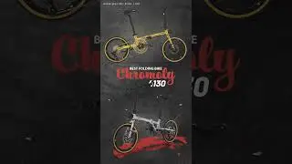 Folding Bike Pacific Analog 2.2