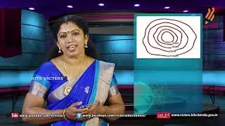 KITE VICTERS STD 10 Social Science Class 34 (First Bell-ഫസ്റ്റ് ബെല്‍)