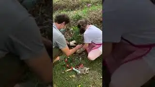 Flora and Aina planting trees in Argentina!