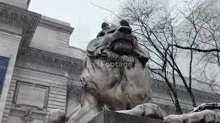 New York City Snow - 01/17/2026