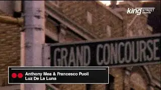 Anthony Mea & Francesco Puoli - Luz De La Luna (Official Visualizer)