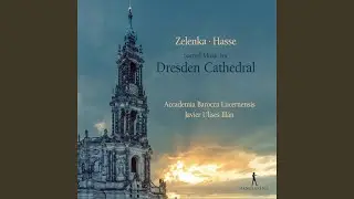Confitebor tibi, ZWV 71: II. Memoriam fecit