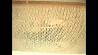 Progressive International GMMC-68 Microwavable S'Mores Maker