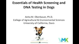 Essentials of Health Screening and DNA Testing in Dogs