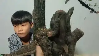 Cẩm thị gl ae 1000k.lh Zalo 0817177855.duy
