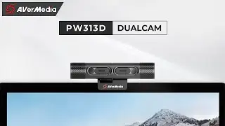 AVerMedia DUALCAM - PW313D
