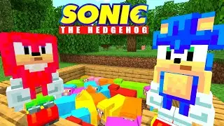 Sonic's RAINBOW Sheep Zoo! [41] | Sonic And Friends | Minecraft