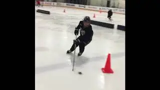 Swedish Hockey Coach In LA, Swedish Elite Skill Clinic
