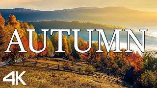 AUTUMN 4K &bull; Nature Relaxation Film &bull; Classical Music &bull; 4k Video UltraHD #1