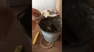Ширг обряд