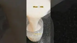 Wheat milk 🥛🍵 #shorts #trending #viralvideo #shortsfeed #shortvideo #youtubeshorts #youtube #recipe