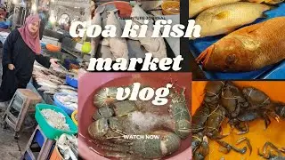 Goa Ki Sabse Badi Fish Market 🐟🦞 | Fresh Fish, Crab & Lobster Goa Fish Market Visit