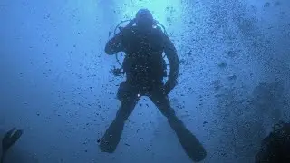 #DIVING INTO THE #ATLANTIC #OCEAN DARKNESS IN #GALICIA #SHORTS