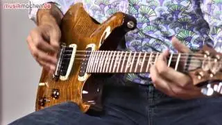 PRS Paul's Guitar E-Gitarre im Test