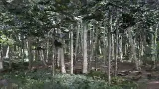 SLAM LiDAR SHARE S20の点群が素晴らしい！