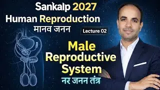 📘 Human Reproduction | Male Reproductive System | Lecture 02 | NEET 2027