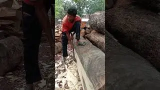 Extreme hard workin man and wood cutting skill Exe,biggast sawmill