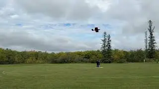Rosalie's first flight @ Ringmaster Fly-A-Thon 