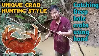 Unique Crabs Hunting Style! Catching Deep hole Crabs using hand | Catching Crabs Using Hand |Part 1