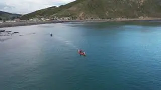 makara diving trip