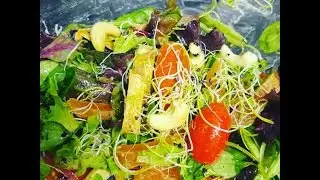 &iquest;Que come un  crudivegano en un dia? dia 2 con Ace Verdura (rawvegan menu)