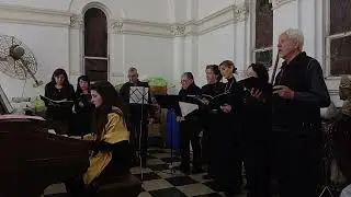 Te ofrecemos señor
