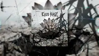 Exzo Kaoz - Me Reflejo en el Fango