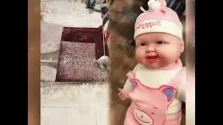 🤣👌👌👌2026 pov Must-Watch Crazy Clips Compilation #humor #fypシ #pov #fyp #foryou 😍😜