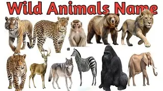 Wild Animals Name | जंगली जानवरों के नाम | Wild Animals for Kids | Animal Sounds 🦁🐘