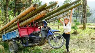 Strong Girl Builds New Farm Kitchen Foundation &ndash; Daily Mountain Life | Harny