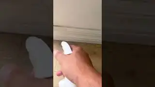 EOGreen Spray Bottle