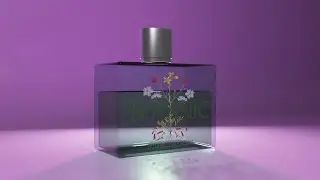 3Ds Max 09 conform modifier opacity maps