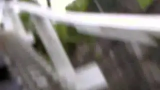 Kennywood - CoasterCrazy.com