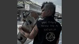 You Can't Even Do a Kickflip