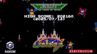 HIGH SCORE: Galaga [NAMCO Museum - GCN] - 202160 (2025/07/13)