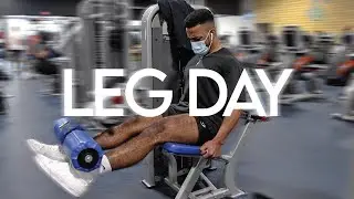 BEASTLY LEG DAY ROUTINE | do this for tree trunk legs