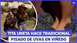 De Paseo / ¡Pisó las uvas!: Tita Ureta realiza la tradición de la Vendimia
