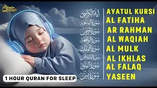 Heart-Melting Recitation | Ayatul Kursi, Al-Fatiha, Surah Ar-Rahman, Al-Mulk, Yasin By - Alaa Aqel