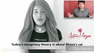 ADORABLE ASSASSIN [Shane Dawson]Antonia Marquee