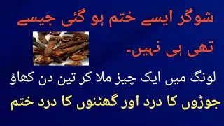 Rumi Quotes Urdu |Best Urdu Quotes on life | Motivational Quotes About Life Urdu | Hikmat Ki Batain