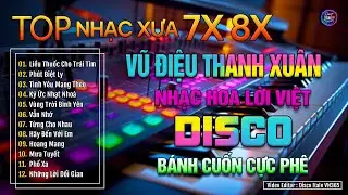 Vũ Điệu Thanh Xuân 2 - DISCO | LK Nhạc Hoa Lời Việt Dấu Ấn Thời Gian Của Thanh Xuân - Nghe Là Nghiện