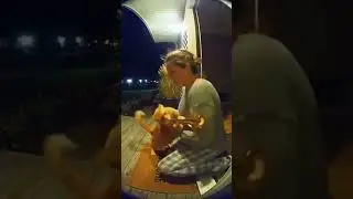 😹😹 #funny #videos #animalvideos #ai #cat #cats #animals #hilarious #compilation