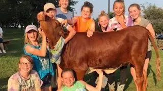 Couple Throws Birthday Party for Rescued 1-Year-Old Cow
