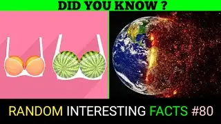 Fact | Psychology facts | Did you know facts | world facts  | knowledge video | Amazing facts #80