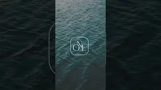 ONE Sotheby's New Icon Reveal #onesir