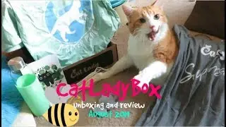 CatLadyBox Unboxing And Review | August 2019