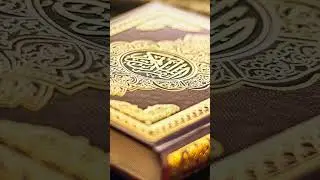 Can Faith be inherited? #quran #islam #religion #allah #noah #islamichistory #prophet  #muhammad