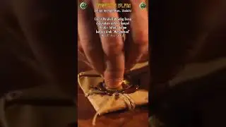 Cincin nabi muhammad saw